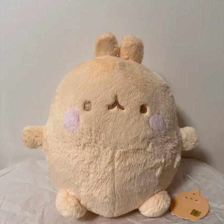 [BUNJANG] Molang Plush Doll 25cm / 정품)털뚠뚠 포실포실 몰랑이 인형