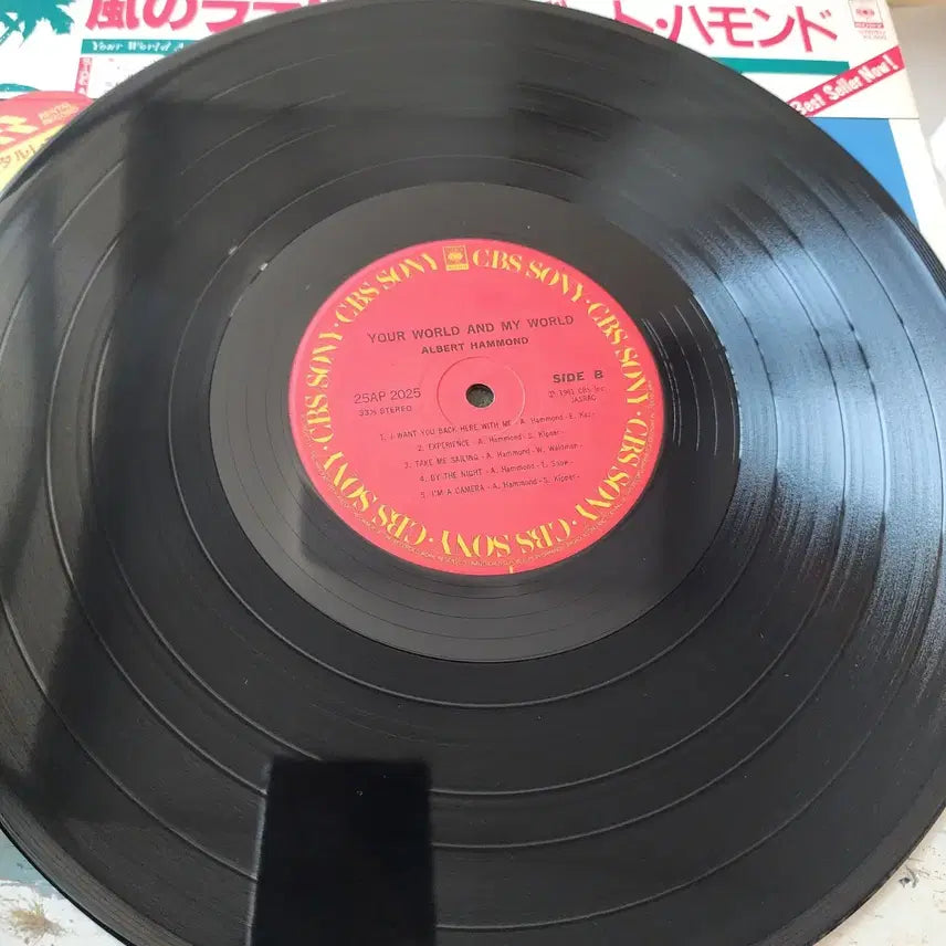 [BUNJANG] Albert Hammond Your World And My World LP / 알버트 해먼드  Albert Hammond lp