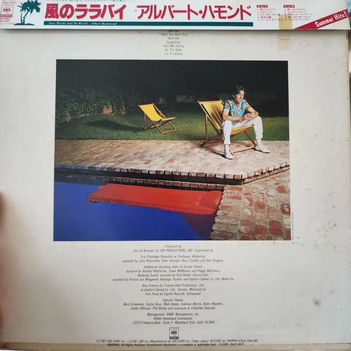 [BUNJANG] Albert Hammond Your World And My World LP / 알버트 해먼드  Albert Hammond lp