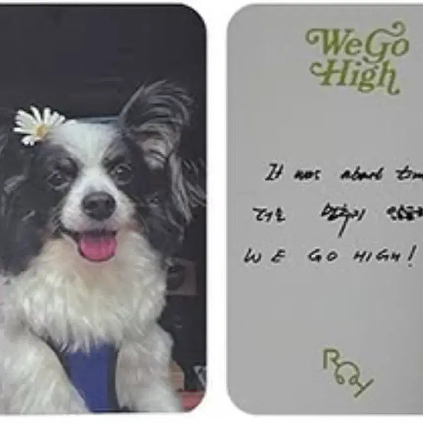 [BUNJANG] Roy Kim We Go High Photocard / 로이킴 위고하이포카