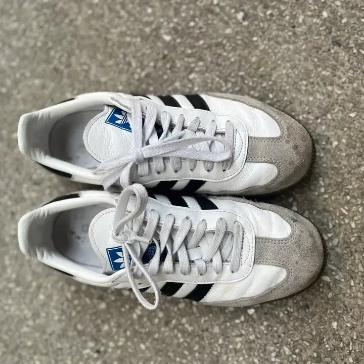 [BUNJANG] Adidas Samba 255 Sneakers / 삼바 255팝니다!