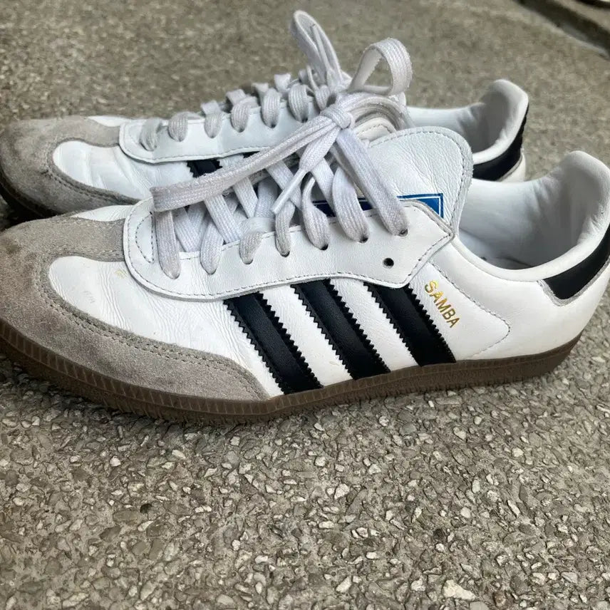 [BUNJANG] Adidas Samba 255 Sneakers / 삼바 255팝니다!