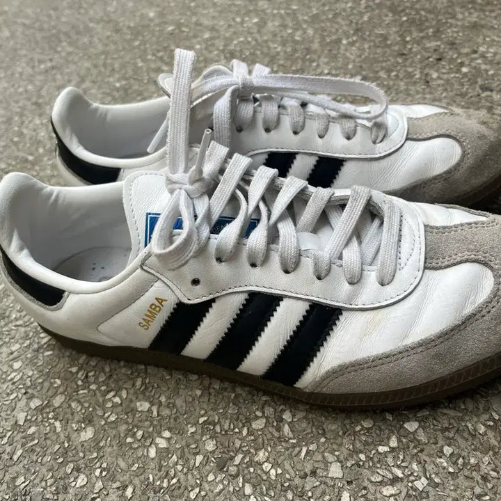 [BUNJANG] Adidas Samba 255 Sneakers / 삼바 255팝니다!