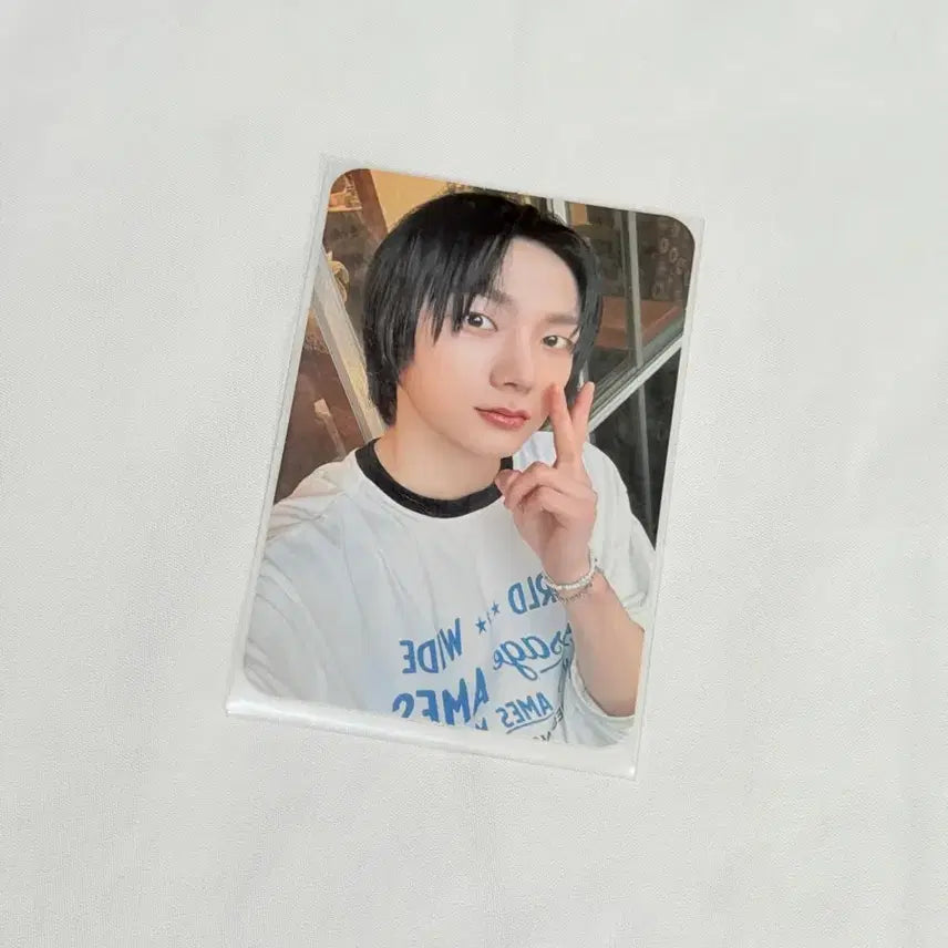 [BUNJANG] BOYNEXTDOOR Sungho Photocard / 보이넥스트도어 보넥도 성호 포카