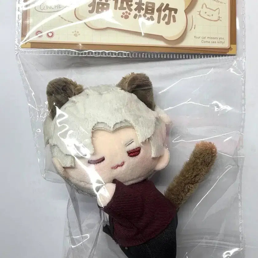 [BUNJANG] Love and Deepspace Jinwoo Nyanjipsa Plush Doll / 러브앤딥스페이스 럽딥 냥집사 누이 인형 진운