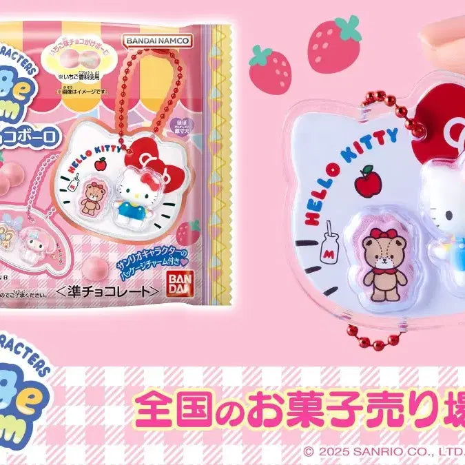[BUNJANG] Sanrio Character Package Charm Key Holder Set / 산리오 패키지 챰 키홀더 마이멜로디 배드바츠마루 한교동 시나모롤 폼폼푸린