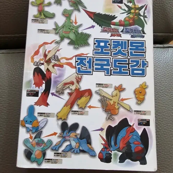 [BUNJANG] Pokemon National Pokedex (Alpha Sapphire, Omega Ruby) / 포켓몬 전국도감 (알파사파이어, 오메가루비)