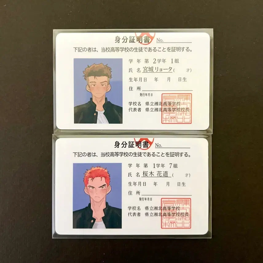 [BUNJANG] Daynim Slum Dunk Student ID Photocard / 슬램덩크 슬덩 데이님 day님 백호 태섭 학생증 포토카드 굿즈