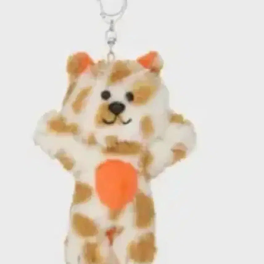 [BUNJANG] BBNEKDO Season 1 Cat Bb Doll Bundle Set / 쁘넥도 1기 캣삐 양도 (포카 일괄)