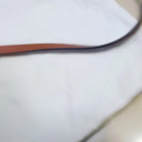 [BUNJANG] Delest Glinda Crossbody Bag / 델레스트 글린다 크로스백