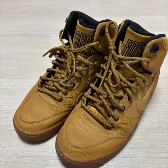 [SOLD OUT] 나이키 선오브포스 된장 255
