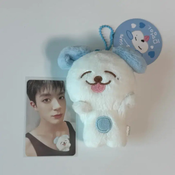 [SOLD OUT] 엔시티 드림 제노 인형 므엉이 양도