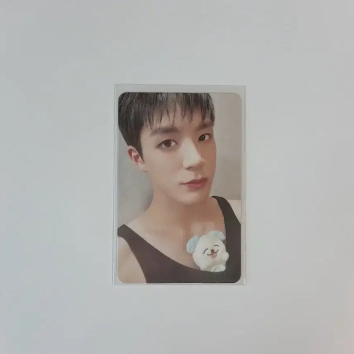 [SOLD OUT] 엔시티 드림 제노 인형 므엉이 양도