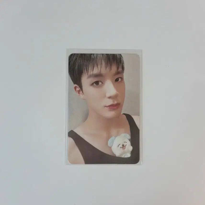 [SOLD OUT] 엔시티 드림 제노 인형 므엉이 양도