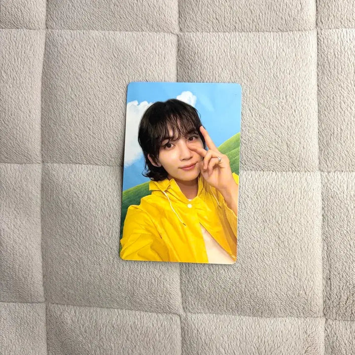 [SOLD OUT] 세븐틴 seventeen 정한 버논 포카 일괄판매
