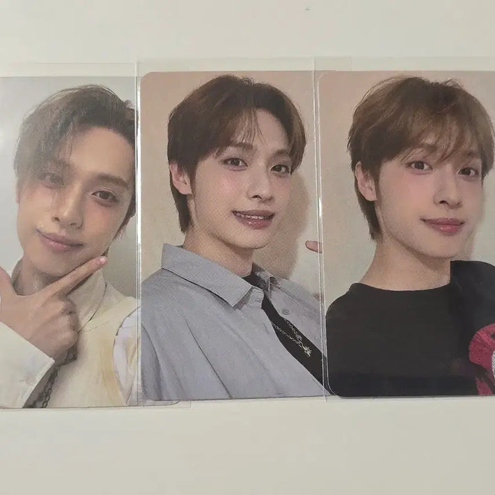 [BUNJANG] Xdinary Heroes Gaon Summer Concert Bundle Set Photocard / 엑디즈 가온 썸머콘 입장 포카 일괄 엑스디너리히어로즈