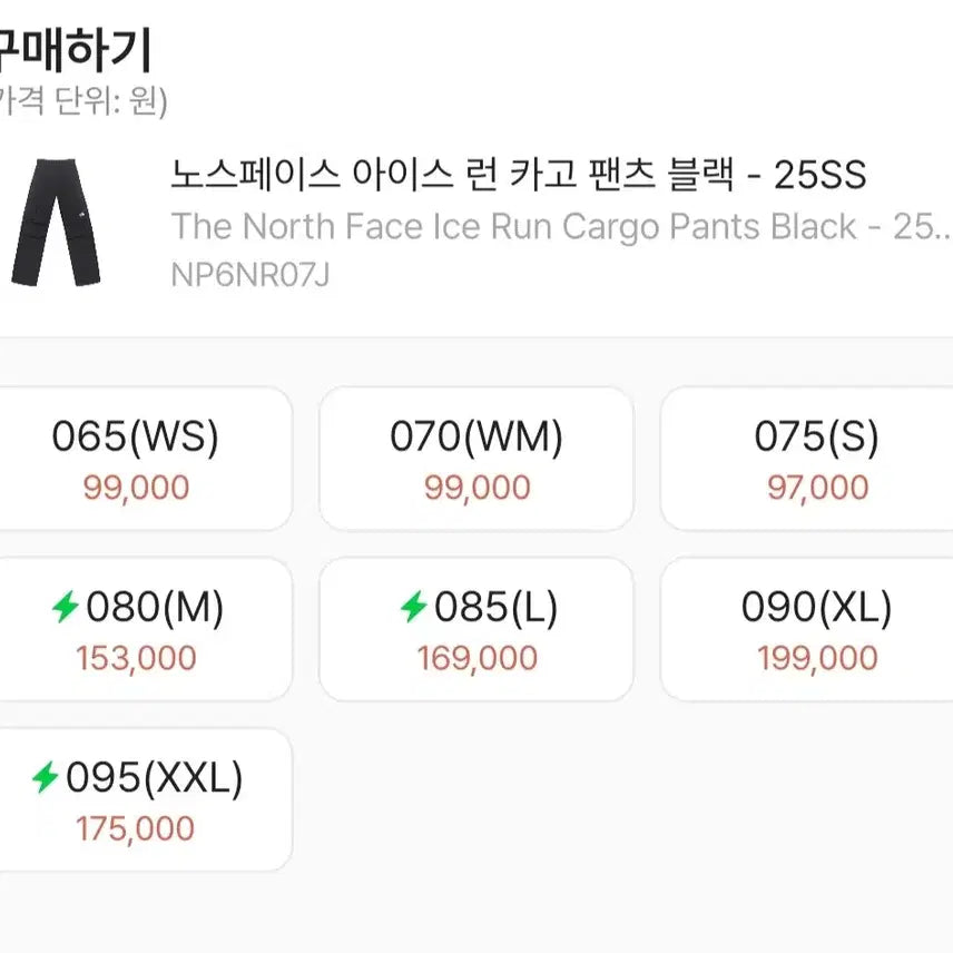 [SOLD OUT] 노스페이스 아이스런 카고 팬츠