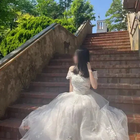 [BUNJANG] Wedding Dress Rental / 최저가 셀프웨딩 셀프촬영 졸업사진 웨딩드레스 대여