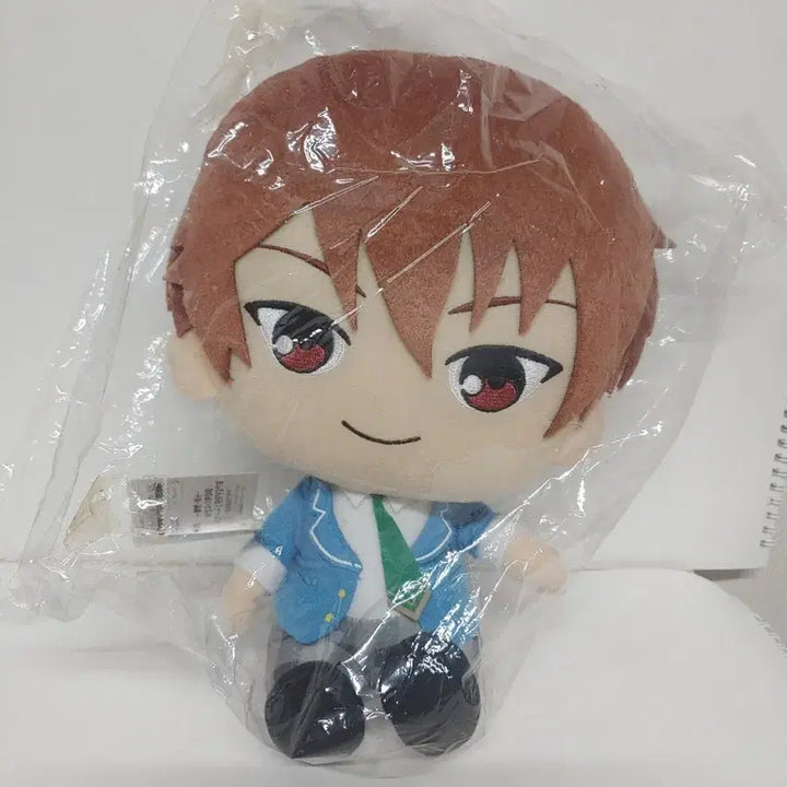 [BUNJANG] Ensemble Stars Chiaki Big Plush Doll / 공식 앙스타 소장용 치아키 30cm이상 빅 누이(인형) 추가가격인하