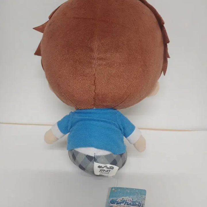 [BUNJANG] Ensemble Stars Chiaki Big Plush Doll / 공식 앙스타 소장용 치아키 30cm이상 빅 누이(인형) 추가가격인하