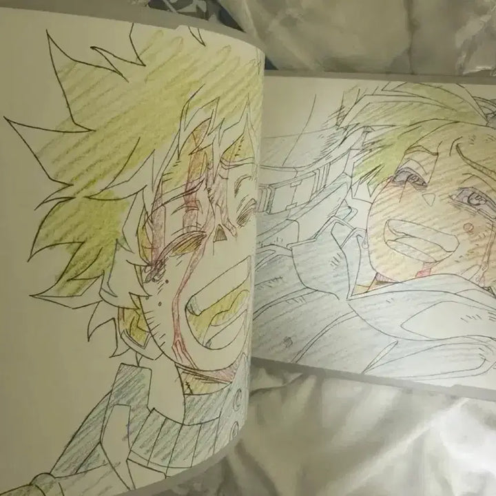 [BUNJANG] My Hero Academia World Heroes&