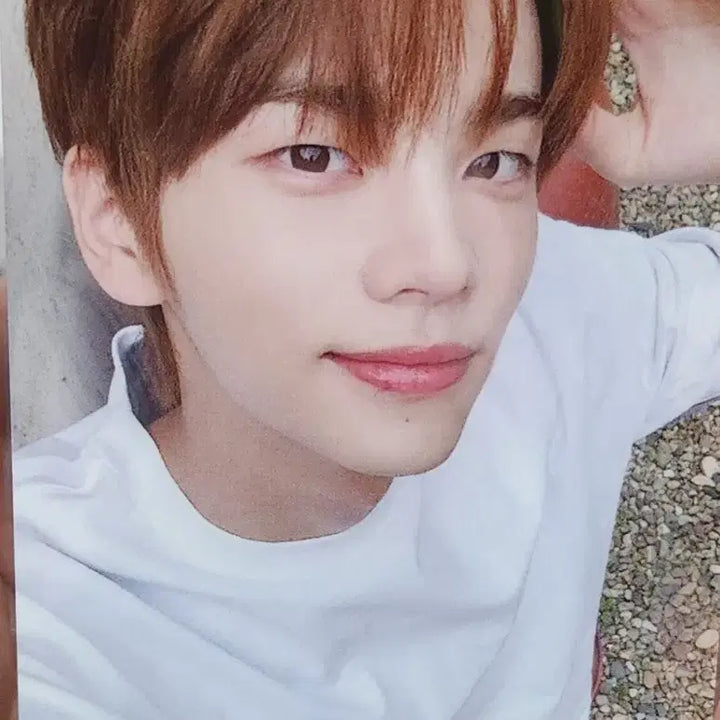 [BUNJANG] TWS Shinyu Photocard / 투어스 신유 포카 양도합니다