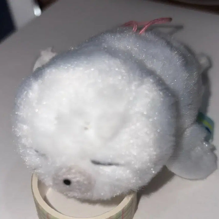 [BUNJANG] White Baby Seal Plush Keyring / 하얀 아기 물개 물범 인형 키링