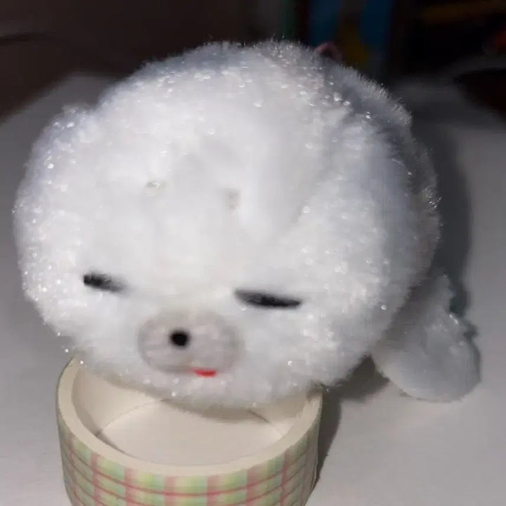 [BUNJANG] White Baby Seal Plush Keyring / 하얀 아기 물개 물범 인형 키링
