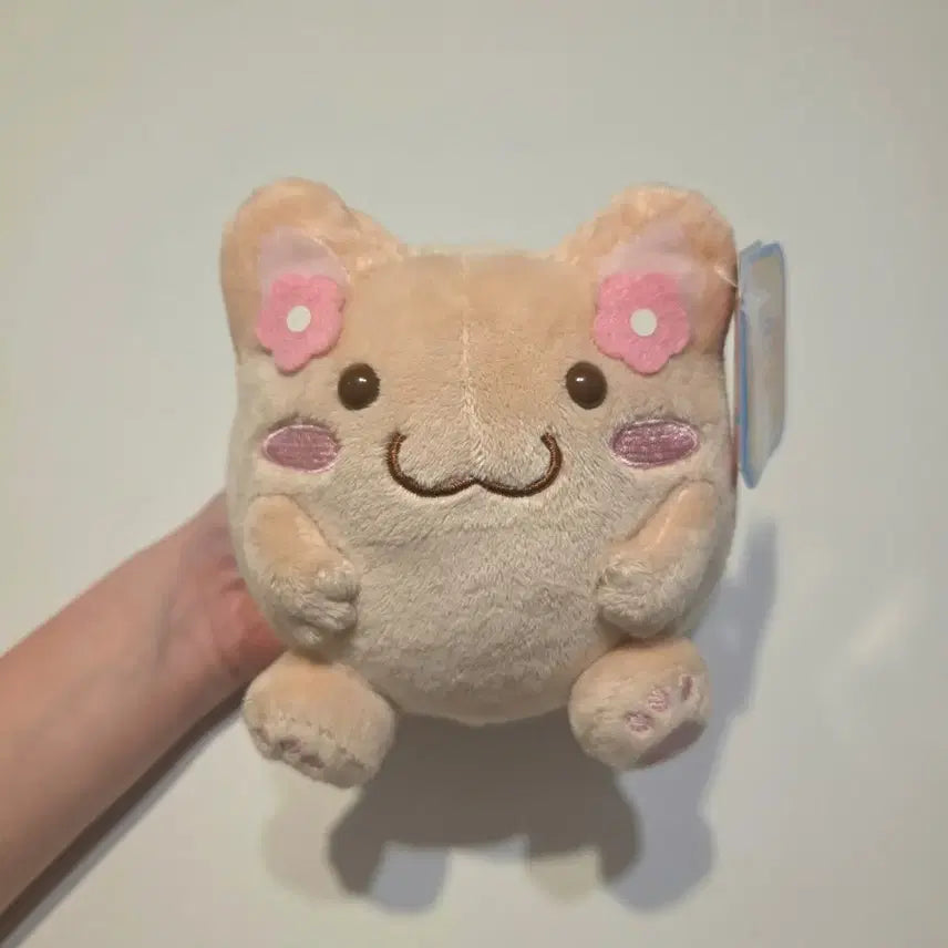 [BUNJANG] Maruneco Mocha Plush Doll / 모카 마루네코 인형 (택0)