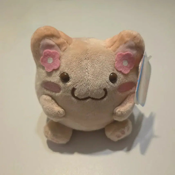 [BUNJANG] Maruneco Mocha Plush Doll / 모카 마루네코 인형 (택0)