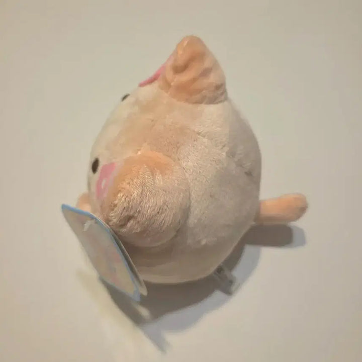 [BUNJANG] Maruneco Mocha Plush Doll / 모카 마루네코 인형 (택0)