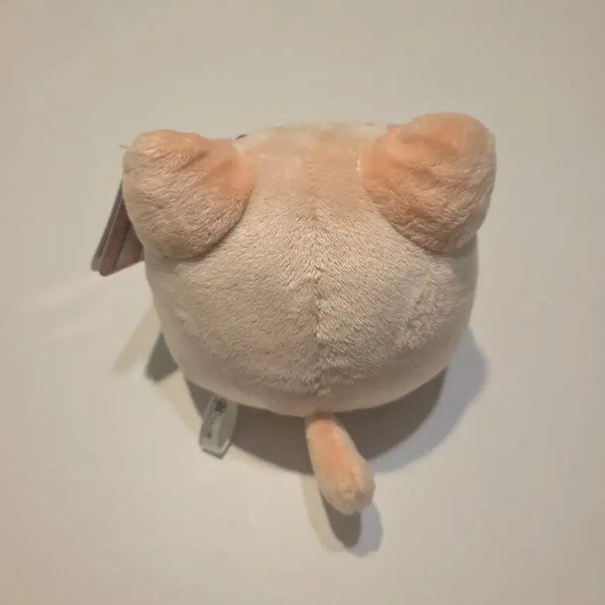 [BUNJANG] Maruneco Mocha Plush Doll / 모카 마루네코 인형 (택0)