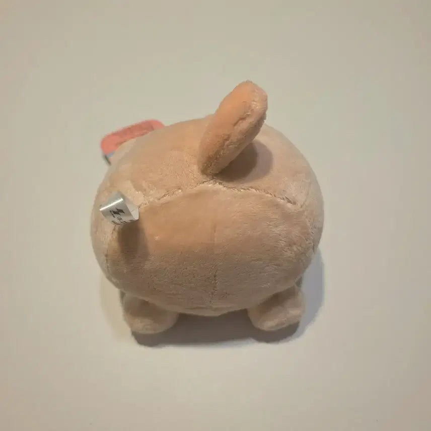 [BUNJANG] Maruneco Mocha Plush Doll / 모카 마루네코 인형 (택0)