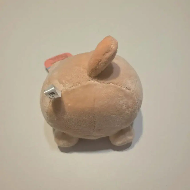 [BUNJANG] Maruneco Mocha Plush Doll / 모카 마루네코 인형 (택0)