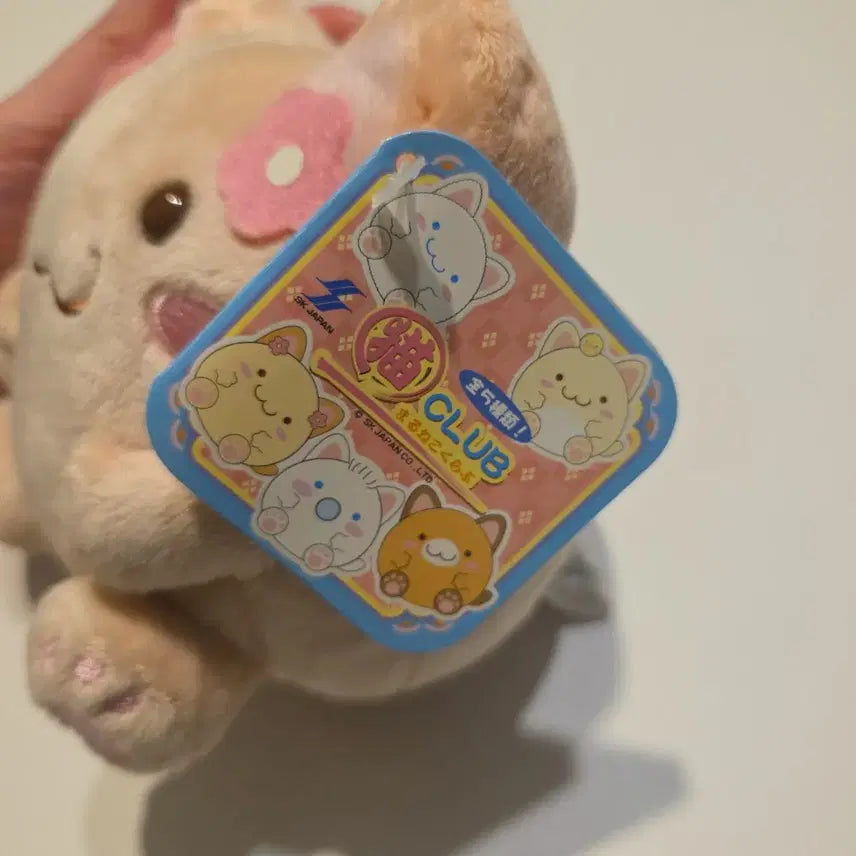 [BUNJANG] Maruneco Mocha Plush Doll / 모카 마루네코 인형 (택0)