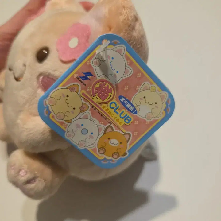 [BUNJANG] Maruneco Mocha Plush Doll / 모카 마루네코 인형 (택0)