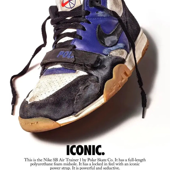 [BUNJANG] Nike SB x Polar Skate Air Trainer 1 Sneakers / (310) 나이키 SB X 폴라스케이트 에어 트레이너 1