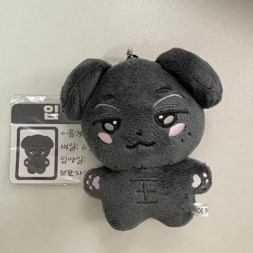 [BUNJANG] Heo Nam-joon Ppopijjun Doll / 허남준 인형 뽀삐쭌