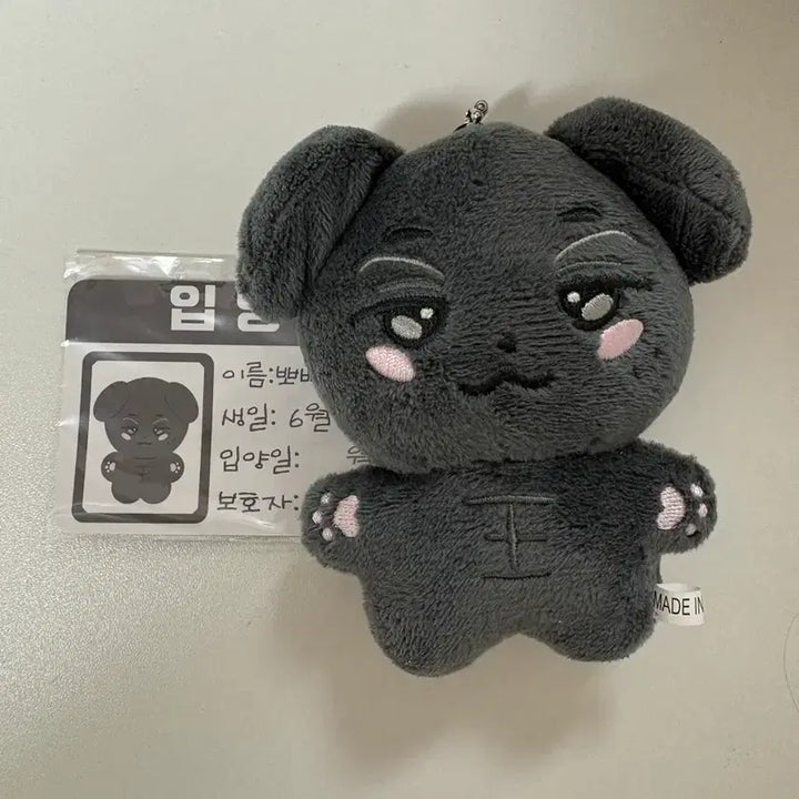 [BUNJANG] Heo Nam-joon Ppopijjun Doll / 허남준 인형 뽀삐쭌