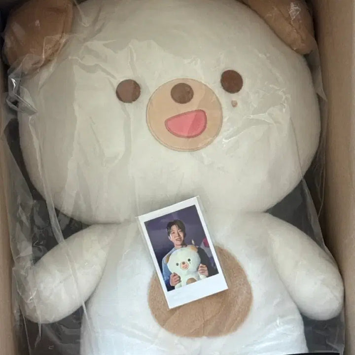 [BUNJANG] DAY6 Dowoon Giant Pptimalz Doll / 데이식스 자이언트 쁘띠멀즈 도운 돈