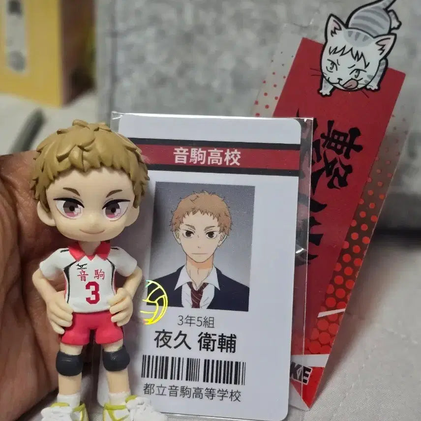 [BUNJANG] Palverse Yaku Set / 팔버스 야쿠 세트