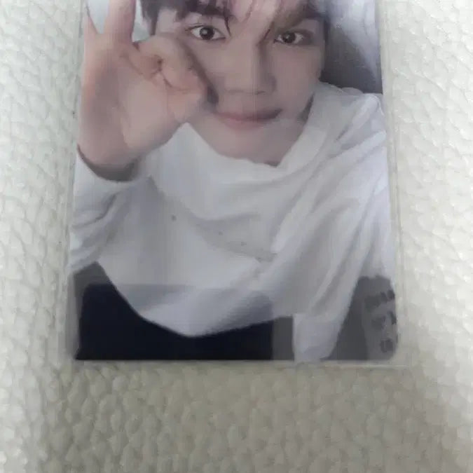 [BUNJANG] ZEROBASEONE Park Gunwook Photocard / 제로베이스원 제베원 박건욱