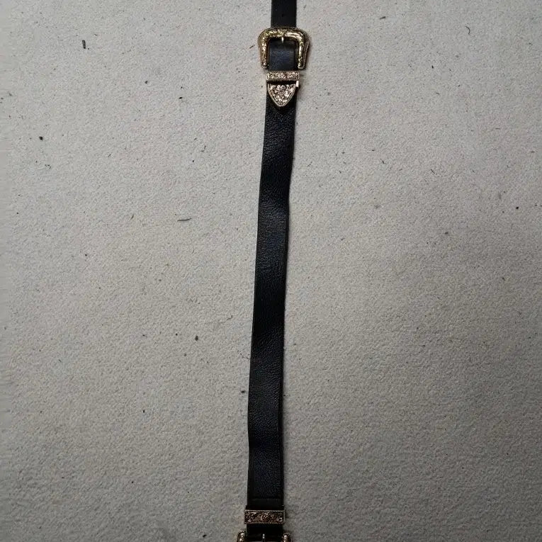 [BUNJANG] Vintage Double Buckle Western Style Belt / 빈티지 더블 버클 웨스턴 스타일 벨트 블랙