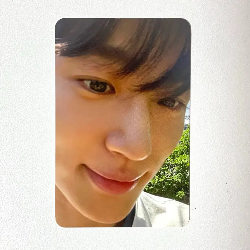 [BUNJANG] Byeon Woo Seok Photocard / 변우석 포토카드