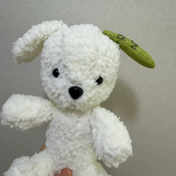 [BUNJANG] NCT WISH Ryo Tonton Handmade Doll / 엔시티 위시 료 톤톤이 자체제작 인형