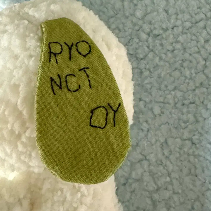 [BUNJANG] NCT WISH Ryo Tonton Handmade Doll / 엔시티 위시 료 톤톤이 자체제작 인형