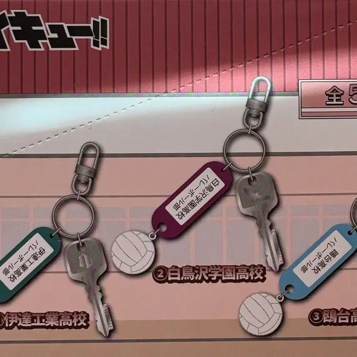 [BUNJANG] Haikyuu! Unopened Keyring Vol.2 / 하이큐 부실키링 2탄 미개봉 시라토리자와 이타치야마 노헤비