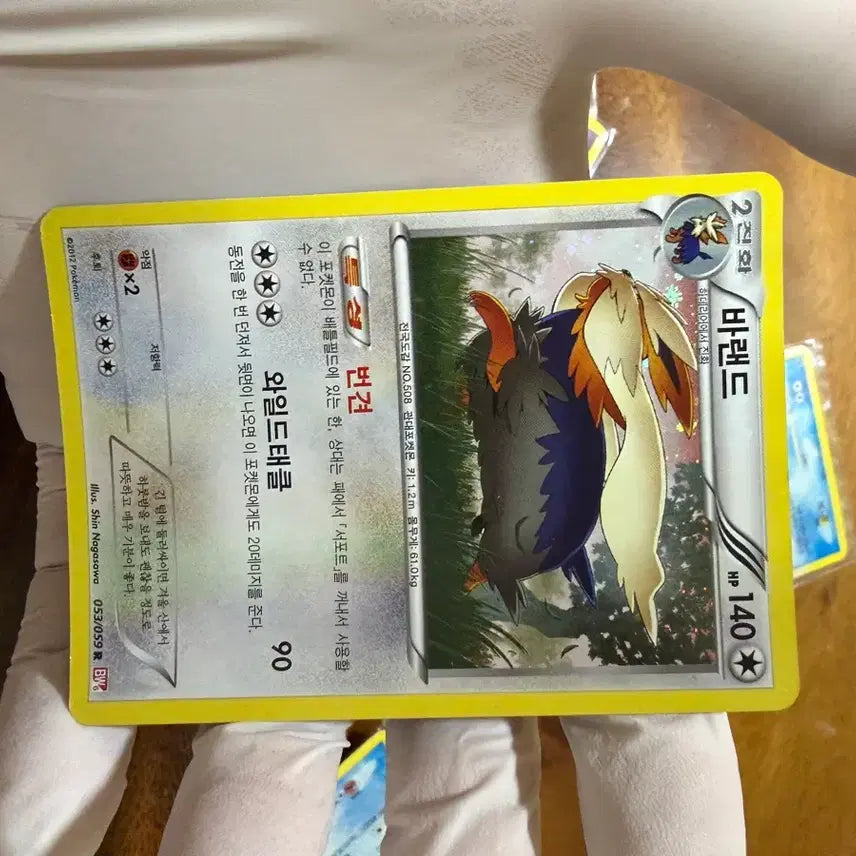 [BUNJANG] Pokemon Barland Ancient Card / 포켓몬카드 바랜드 고대카드