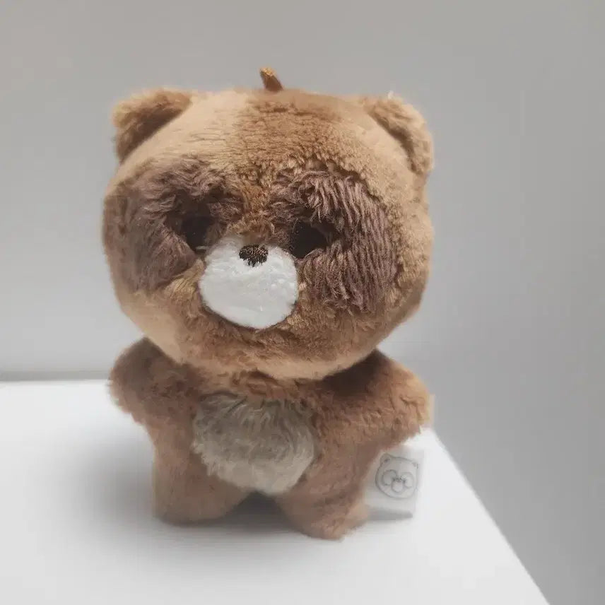 [BUNJANG] The Boyz Sunwoo Ddenggul Doll / 탈덕처분) 더보이즈 선우 떤굴 인형 양도