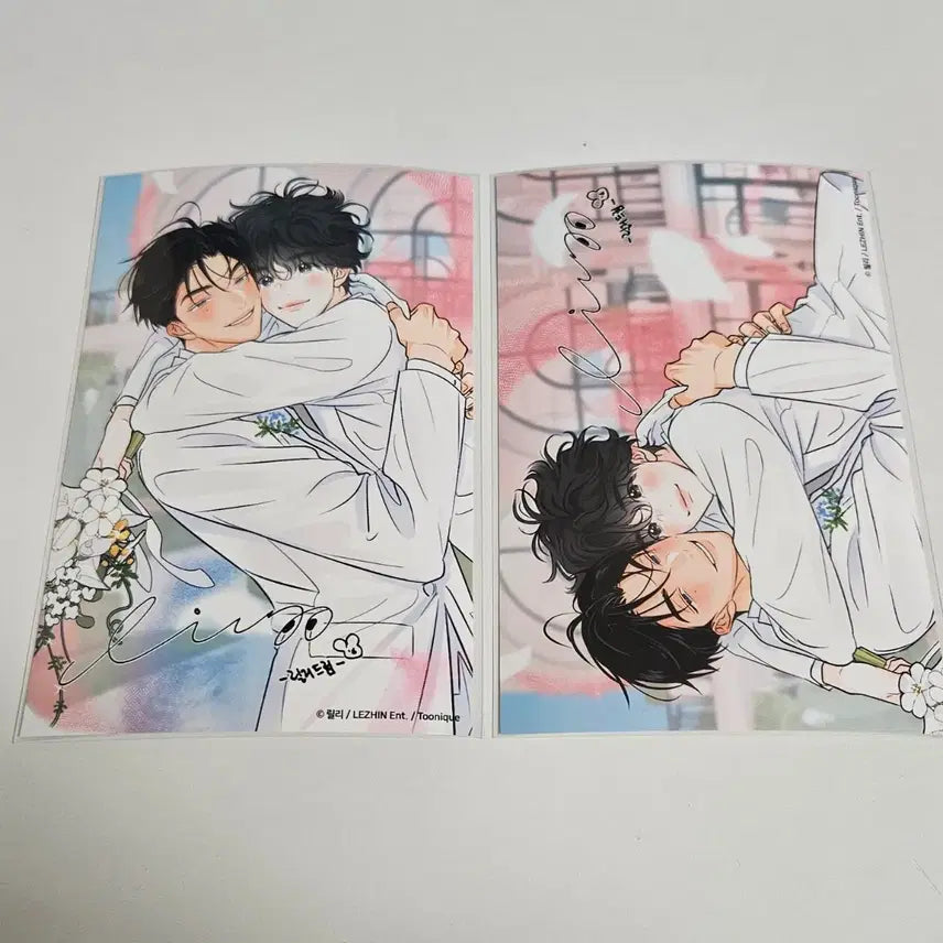 [BUNJANG] Tounique Hay Poca Wedding Photo Set / 향의경계 투니크 헤이포카 결혼 웨딩 사진 세트